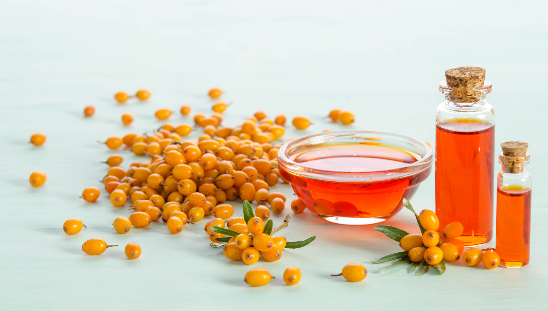 Meet Sea Buckthorn, the Wonder Herb!