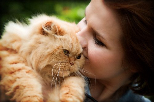 young woman smiling and nuzzling her face in fluffy orange cat's forehead