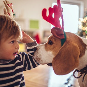 toddler facing dog both wearing toy hat reindeer antlers